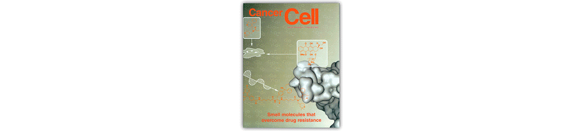 Series of images representative of the Stockwell Lab's research, including research images and journal covers.