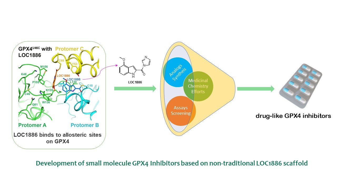 Development of GPX4 inhibitors