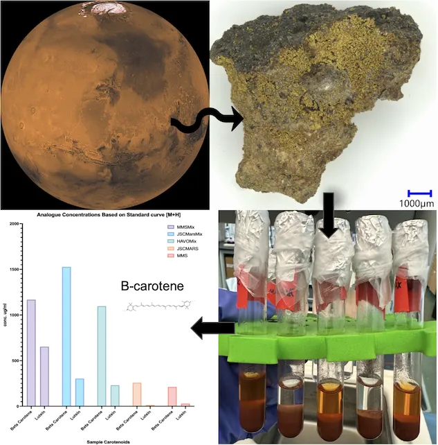 Search for lipid biosignatures 