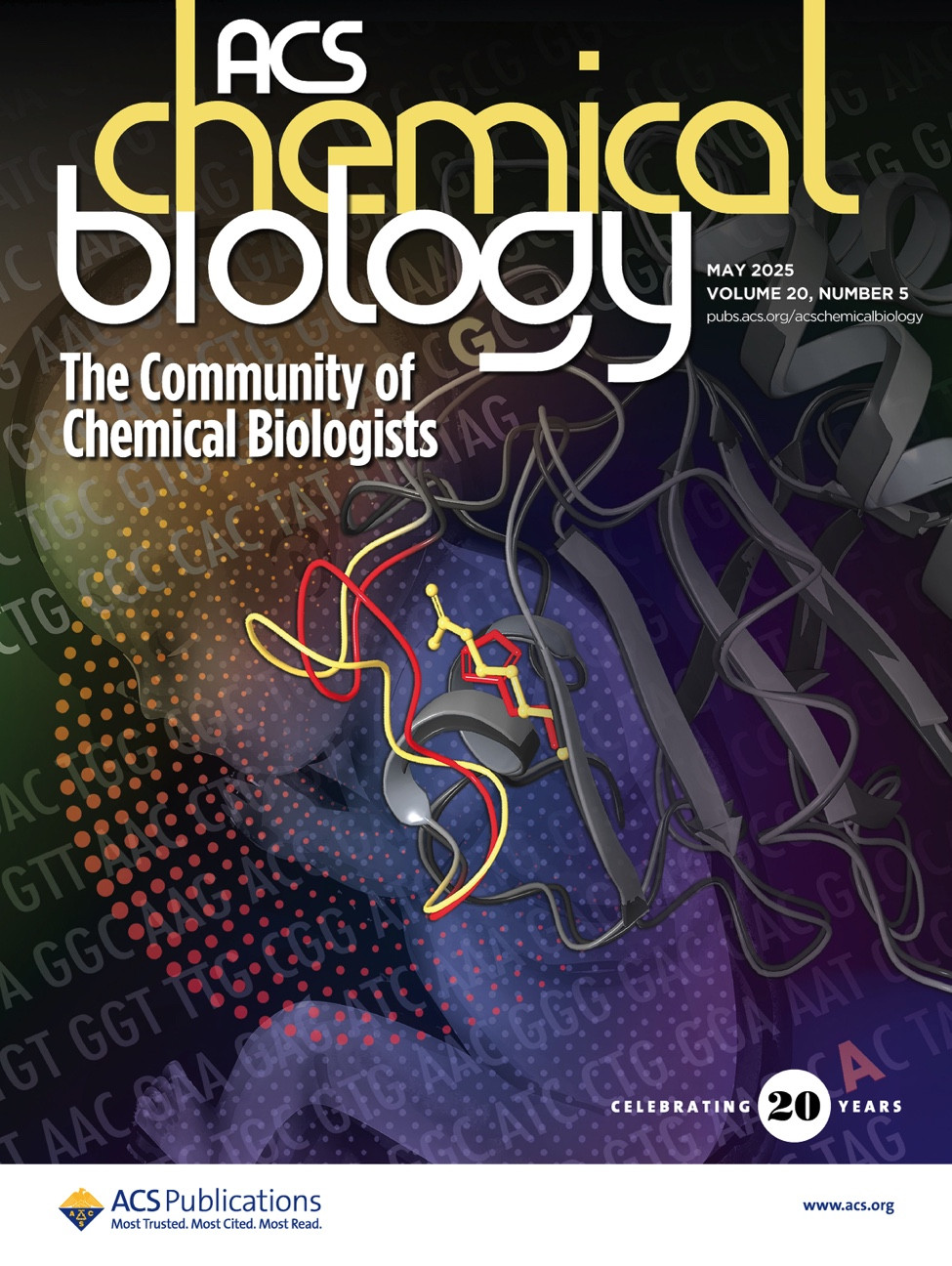 ACS Chemical Biology cover, featuring Liu, et al. 2025 "Selective Small-Molecule Activator of Patient-Derived GPX4 Variant"