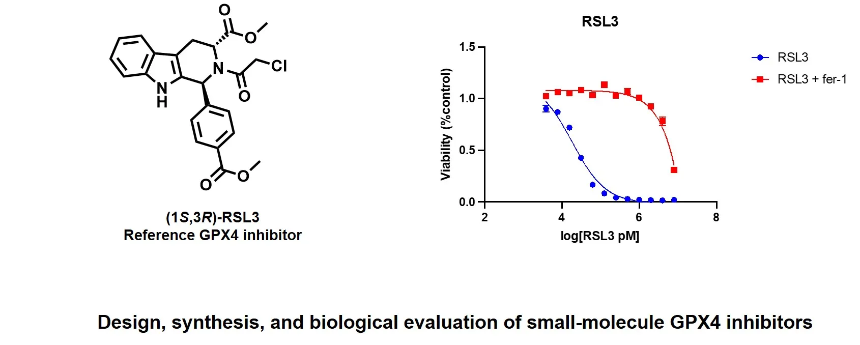 RSL3 is a GPX4 inhibitor that induces ferroptosis