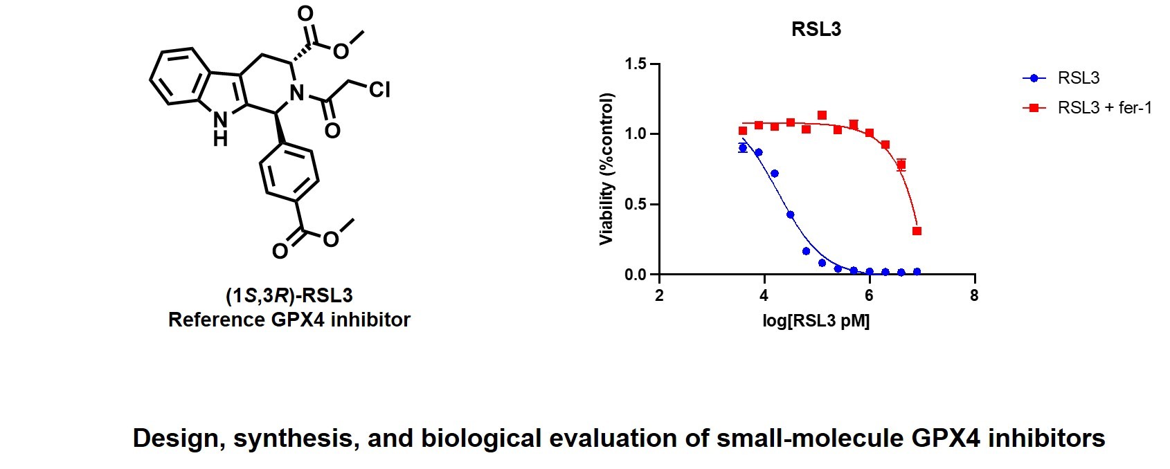 RSL3 is a GPX4 inhibitor that induces ferroptosis